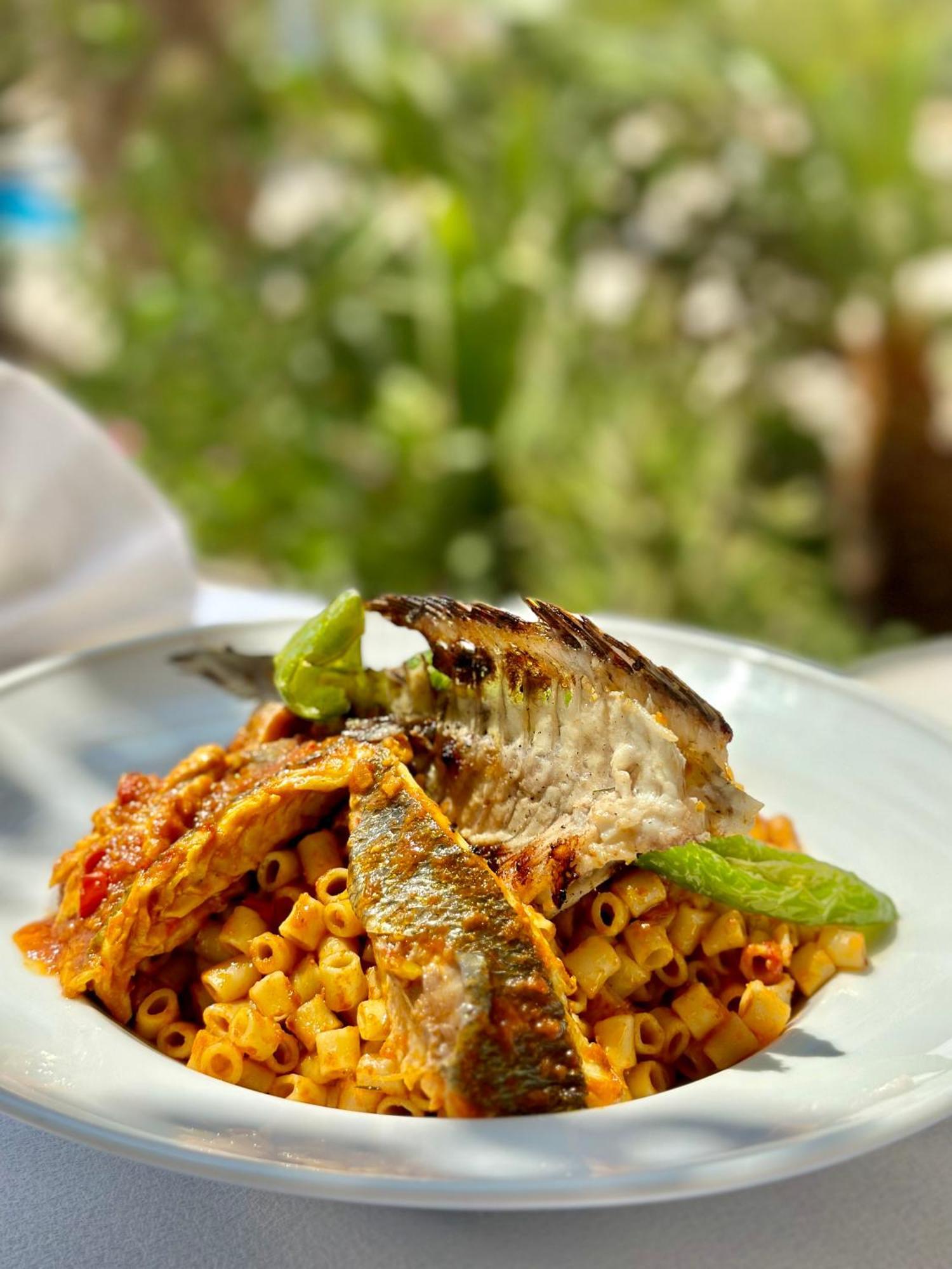 Palm Djerba Suites Mezraia 외부 사진